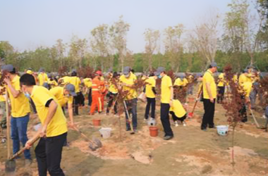 公益植树活动